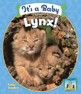 It's a Baby Lynx