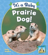 It's a Baby Prairie Dog