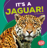 Its a Jaguar