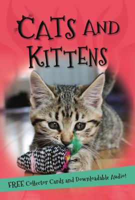 It's All About... Cats and Kittens - Kingfisher Books