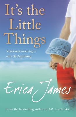 It's The Little Things - James, Erica