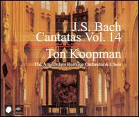 J.S. Bach: Cantatas, Vol. 14 - Annette Markert (soprano); Annette Markert (alto); Bogna Bartosz (alto); Christoph Prgardien (tenor);...