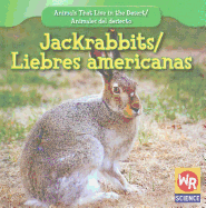 Jackrabbits / Liebres Americanas