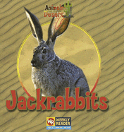 Jackrabbits - Macken, JoAnn Early