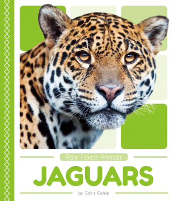 Jaguars - Golkar, Golriz