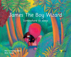 James The Boy Wizard: Somewhere to sleep