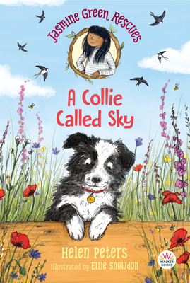 Jasmine Green Rescues: A Collie Called Sky - Peters, Helen