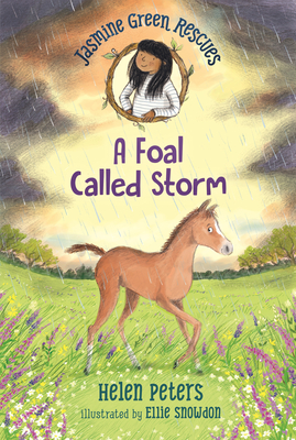 Jasmine Green Rescues: A Foal Called Storm - Peters, Helen