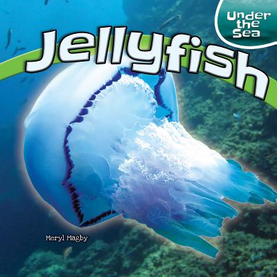 Jellyfish - Magby, Meryl