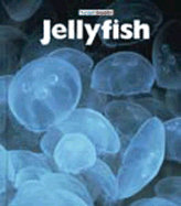 Jellyfish - Sharth, Sharon