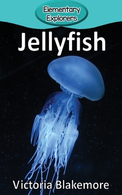 Jellyfish - Blakemore, Victoria