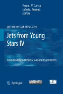 Jets from Young Stars IV: From Models to Observations and Experiments