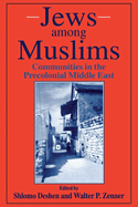 Jews Among Muslims: Communities in the Precolonial Middle East