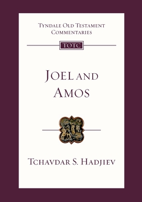 Joel and Amos: An Introduction And Commentary - Hadjiev, Tchavdar S.