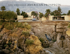 Joel Sternfeld: American Prospects