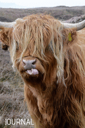 Journal: Cute and Funny Hairy Beast Highland cow breed journal, notebook, diary to write in, draw in or doodle in. Will make a nice gift for farmers, animal lovers and kids