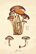 Journal: Magic Mushrooms - Vintage Antique Mushroom Botanical Illustration - Psilocybin 120 Blank Lined 6x9 College Ruled Pages