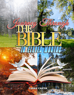 Journey Through the Bible in Eleven Months