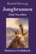 Jungbrunnen (Gro?druck): F?nf Novellen