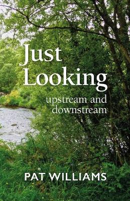 Just Looking: upstream and downstream - Williams, Pat