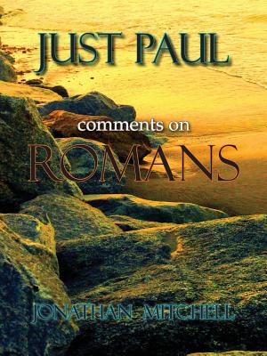 Just Paul: Comments on Romans - Mitchell, Jonathan Paul