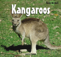 Kangaroos