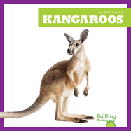 Kangaroos