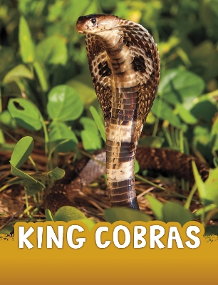 King Cobras - Jaycox, Jaclyn