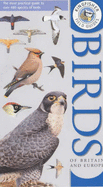 Kingfisher Field Guide to the Birds of Britain and Europe