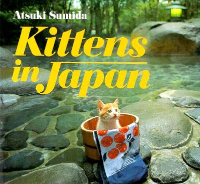 Kittens in Japan - Sumida, Atsuki