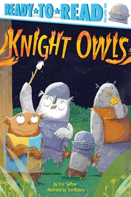 Knight Owls: Ready-To-Read Pre-Level 1 - Seltzer, Eric