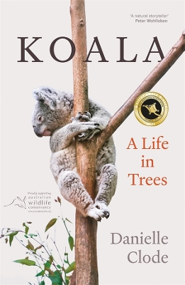 Koala: A Life in Trees - Clode, Danielle