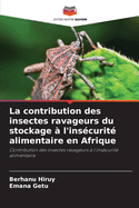 La contribution des insectes ravageurs du stockage  l'inscurit alimentaire en Afrique