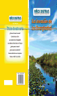 La Invasion de Los Everglades!: Definir El Problema (Everglades Invasion!: Defining the Problem)