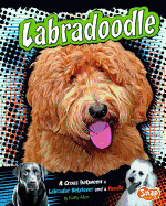 Labradoodle: A Cross Between a Labrador Retriever and a Poodle