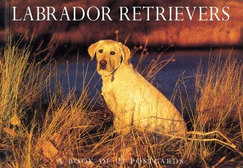 Labrador Retrievers Postcard Book - Browntrout Publishers (Manufactured by)