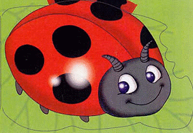 Ladybird: Chunky Animals