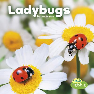 Ladybugs - Amstutz, Lisa J