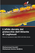 L'afide dorato del pistacchio dell'Atlante di Laghouat