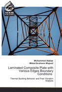 Laminated Composite Plate with Various Edges Boundary Conditions