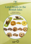 Land Snails in the British Isles