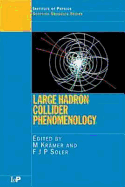 Large Hadron Collider Phenomenology