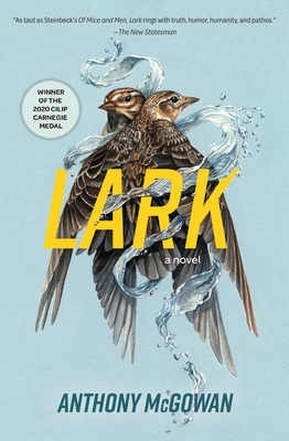 Lark: A Novel Volume 4 - McGowan, Anthony