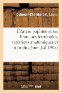 L'Art?re Poplit?e Et Ses Branches Terminales, Variations Anatomiques Et Morphog?nie