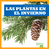 Las Plantas En El Invierno (Plants in Winter)