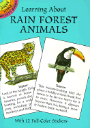 Learning about Rain Forest Animals