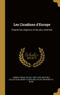 Les Cicadines D'Europe: D'Apres Les Originaux Et Les Plus Recentes