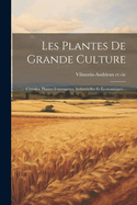 Les Plantes De Grande Culture: Crales, Plantes Fourragres, Industrielles Et conomiques...