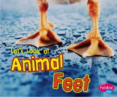 Let's Look at Animal Feet - Perkins, Wendy