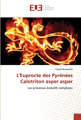 L'Euprocte des Pyr?n?es Calotriton asper asper - Rouquette, Claude